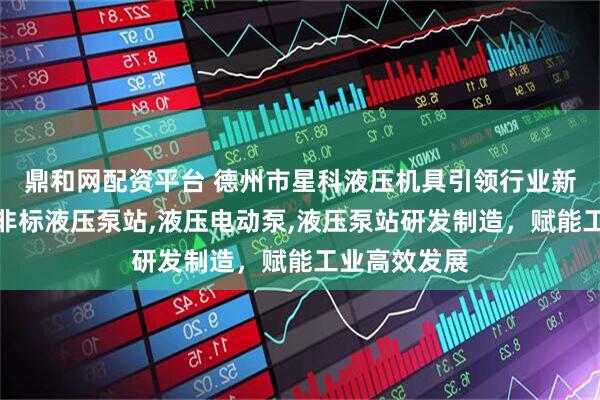 鼎和网配资平台 德州市星科液压机具引领行业新标杆，专注非标液压泵站,液压电动泵,液压泵站研发制造，赋能工业高效发展