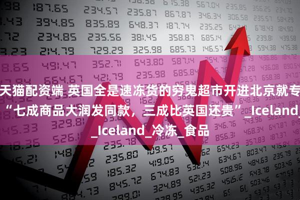 天猫配资端 英国全是速冻货的穷鬼超市开进北京就专供中产了？“七成商品大润发同款，三成比英国还贵”_Iceland_冷冻_食品