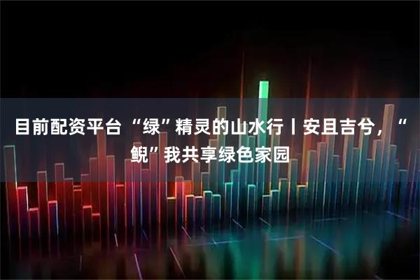 目前配资平台 “绿”精灵的山水行丨安且吉兮，“鲵”我共享绿色家园